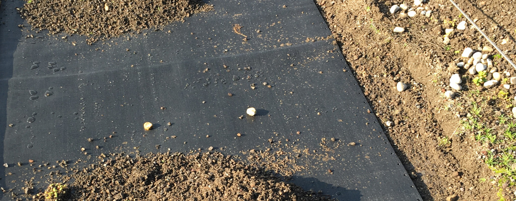 ArgusLine im Freiland